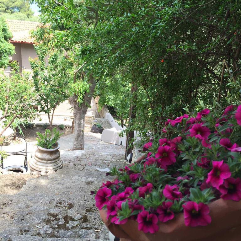 The Beach House - Apartments & Studios (Adults Only) أفيتوس المظهر الخارجي الصورة
