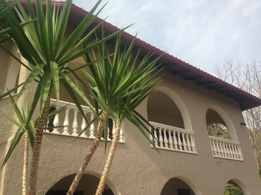 The Beach House - Apartments & Studios (Adults Only) أفيتوس المظهر الخارجي الصورة